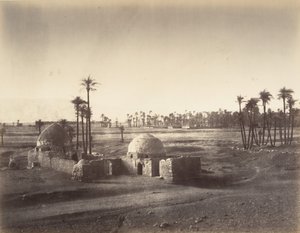 Vista da planície de Tebas tirada do templo de Karnac, 1867. de Gustave Le Gray