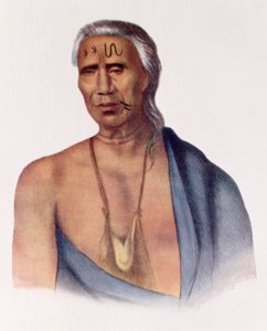 Lap-Pa-Win-Soe, um chefe de Delaware, ilustração de "As tribos indígenas da América do Norte, Vol. 1", por Thomas L. McKenney e James Hall, pub. John Grant