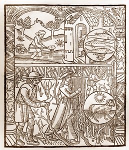 Calendário dos Pastores - Os Trabalhos dos Meses - Março - Corte de madeira do livro de 1496 impresso por Guy Marchant (Guido Mercator) em Troyes - Gravura em madeira em "Le grand Calendrier et compost des shepherds" - de Guy Marchant