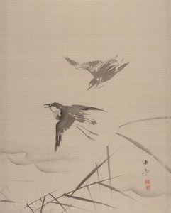 Pequenos pássaros e bambu, 1887-92.
