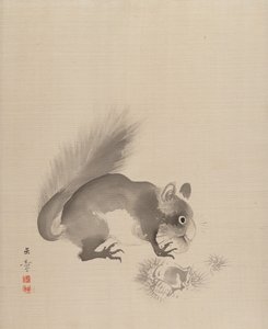 Esquilo comendo castanhas, 1887-92.