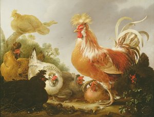 Galo e galinhas em uma paisagem, 1649 de Gysbert Hondecoeter