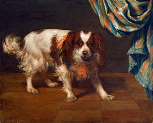 Um Rei Charles Spaniel (óleo sobre painel) de Gysbert van de Kuyl