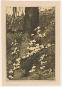 Cogumelos numa floresta
Outono (título original) de H.C. Spruit (signed by artist)