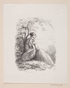Ilustração para "The Wild Swans" em H.C. Andersen, "Contos de fadas e histórias", Volume 1 de H.P. Hansen