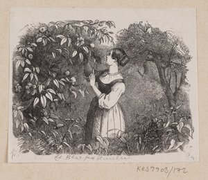 Ilustração para "A Leaf from Heaven" em H.C. Andersen, "Contos de fadas e histórias", Volume 2