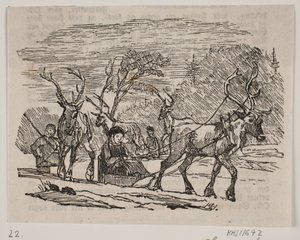 Passeio de trenó com renas de H. C. Henneberg