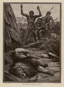 Caça ao leão em África (gravura) de H. Dixon