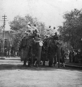 Uma princesa de Punjabi que monta um elefante em uma procissão, Deli, Índia, 1900s.