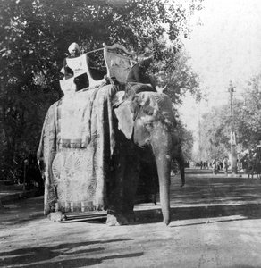 Um elefante fora da estação de trem em Deli, Índia, anos 1900.