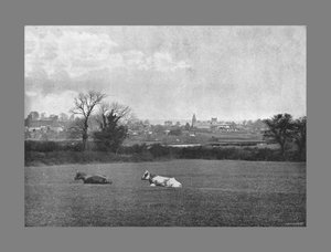 Southwell, c1900 de H. J. Bliss