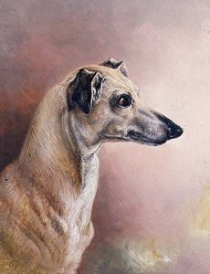 Cabeça de um Greyhound (painel) de H. Morley Park
