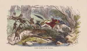 Cavalo perseguido por lobos (gravura colorida)
