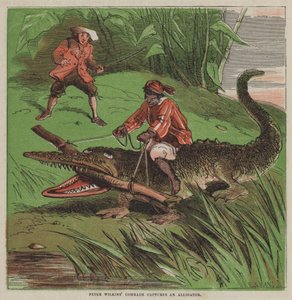 O camarada de Peter Wilkins captura um crocodilo (cor litho) de after Hablot Knight Browne