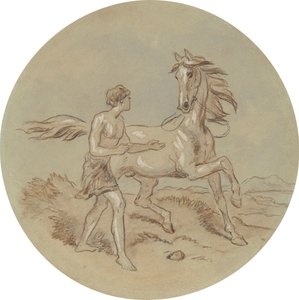 Um dos dezoito desenhos para uma série de placas que ilustram Vénus e Adónis de Hablot Knight Browne