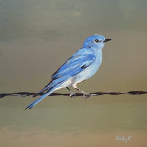 Picador, c.2025 (óleo sobre masonite)