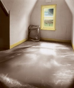 Através da luz