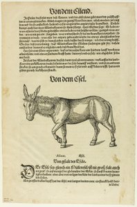 Ilustração de "Thierbuch", placa 42 de Gravuras de Livros do Século XVI de Hans Asper