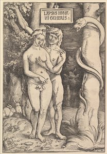 Adão e Eva, 1511.