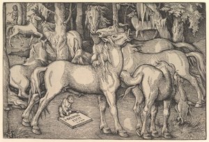 Grupo de sete cavalos, 1534.