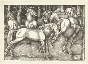Grupo de seis cavalos de combate de Hans Baldung Grien