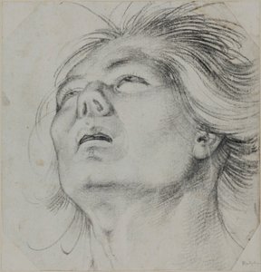 Cabeça de um jovem, vista de baixo de Hans Baldung Grien