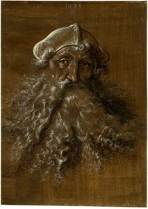 Cabeça de um homem idoso com uma barba pesada de Hans Baldung Grien