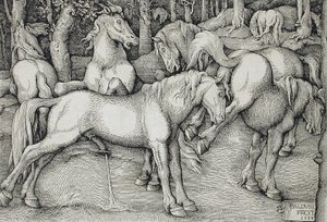 Garanhão e égua a coicear no meio de um grupo de cavalos selvagens na floresta de Hans Baldung Grien