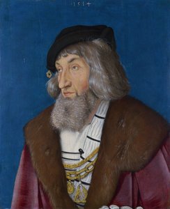 Retrato de um homem de Hans Baldung Grien