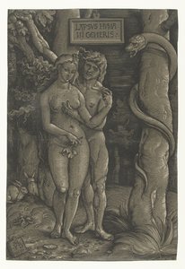 A tentação de Adão e Eva no paraíso
Queda do pecado
Lapsvs Hvmani Generis (título sobre o objecto) de Hans Baldung Grien