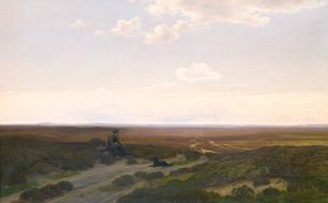 Vista de Pårup Moors perto de Silkeborg, Jutland de Hans Friis