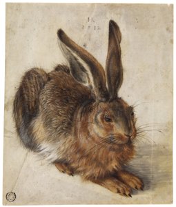 Uma lebre de Hans Hoffmann