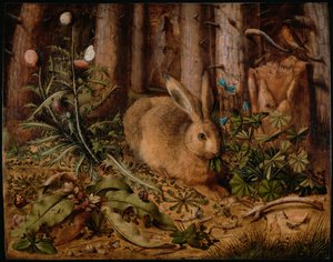 Uma lebre na floresta, ca 1585