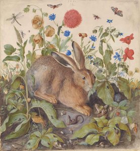 Uma lebre entre plantas de Hans Hoffmann