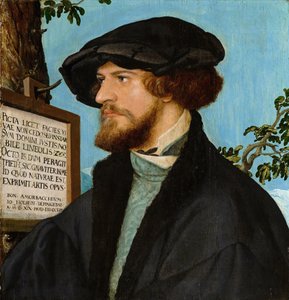 Retrato de Bonifacius Amerbach, 1519 (óleo sobre madeira de pinho)