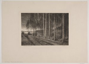 Dia chuvoso na floresta de abetos de Hans Julius Fæster