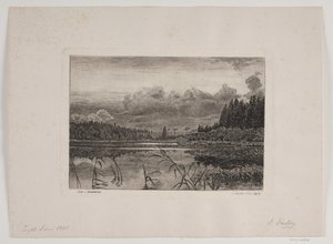 O lago na floresta de abetos de Hans Julius Fæster