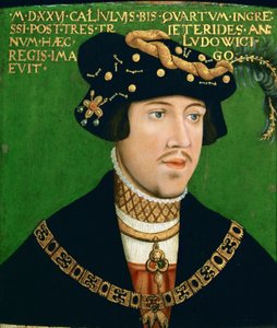 Retrato de Luís II, rei da Hungria (1506-1526)