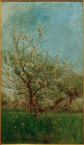 Árvores floridas Uerdenbach