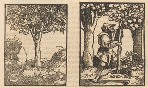 Árvore e representação de um colhedor de fruta entre árvores