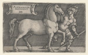 Alexandre, o Grande Bucéfalo Principal, c.1531-1550 (gravura) de Hans Sebald Beham