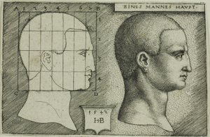 Estudo de perfil da cabeça de um homem de Hans Sebald Beham