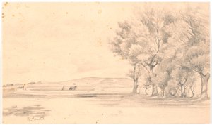 Paisagem com campo arado; ou seja árvores altas de Hans Smidth