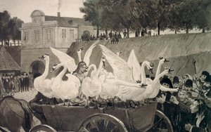 Wild Swans, ilustração de Hans Tegner (1853-1932) para conto de fadas de Hans Christian Andersen (1805-1875) de Hans Tegner