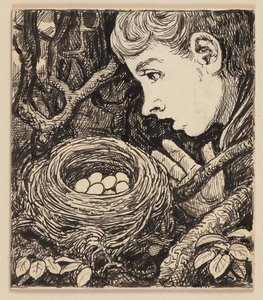 Desenho para a cartilha: ninho de Hans Thoma