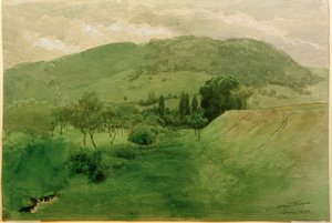 Paisagem Floresta Negra