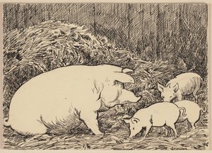 Ilustração do manual: Porco de Hans Thoma
