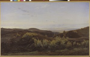 Heather Hills perto de Rye, Jutlândia de Harald Foss