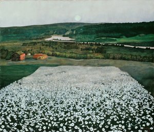 Prado de flores no norte