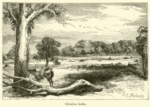 Rochas de Gibraltar (gravura) de Harden Sidney (after) Melville